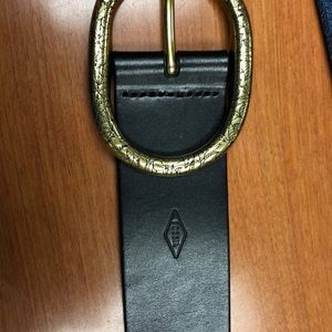Fossil belt